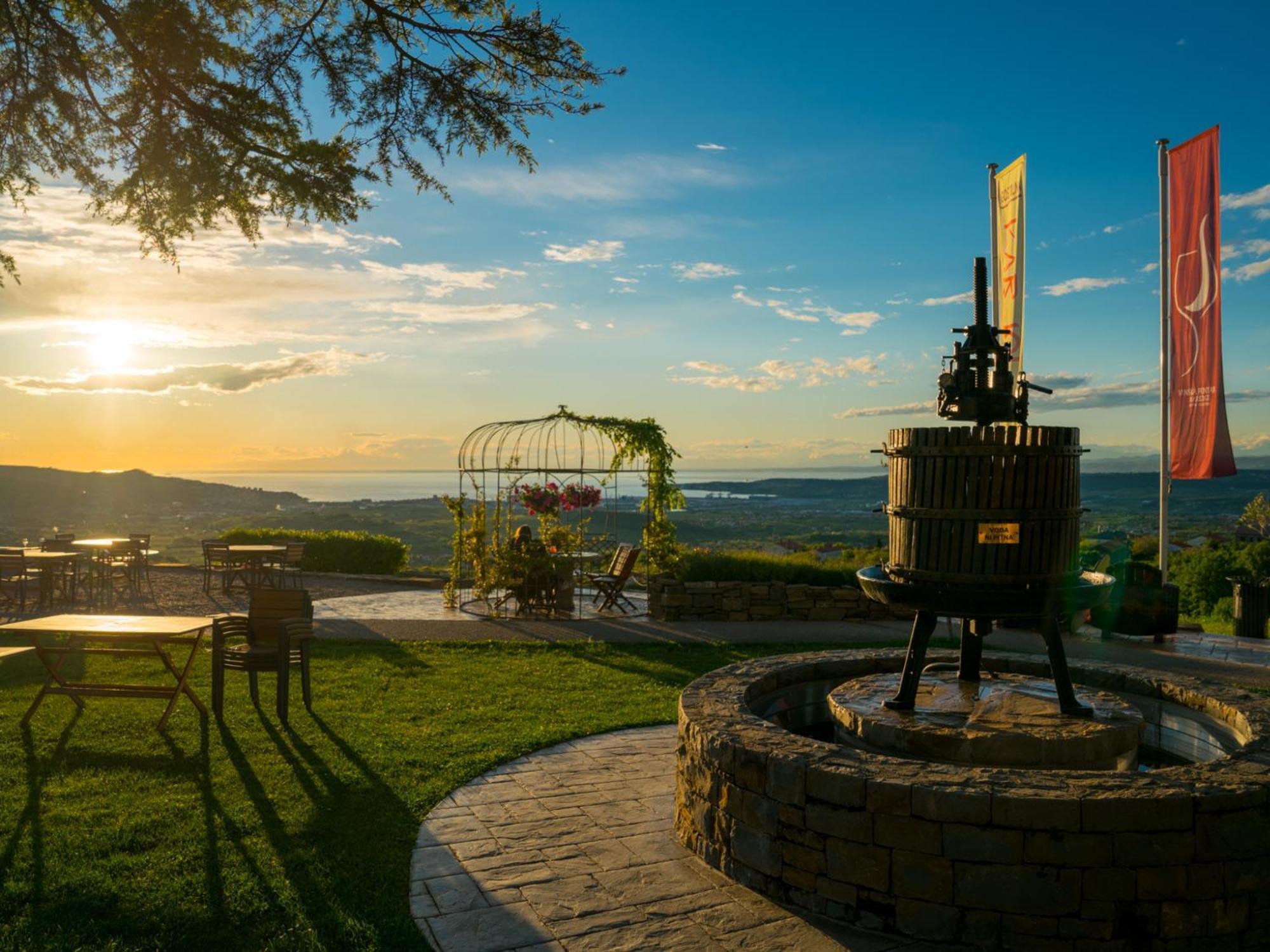 Wine Paradise - Glamping Resort Марезиге Экстерьер фото