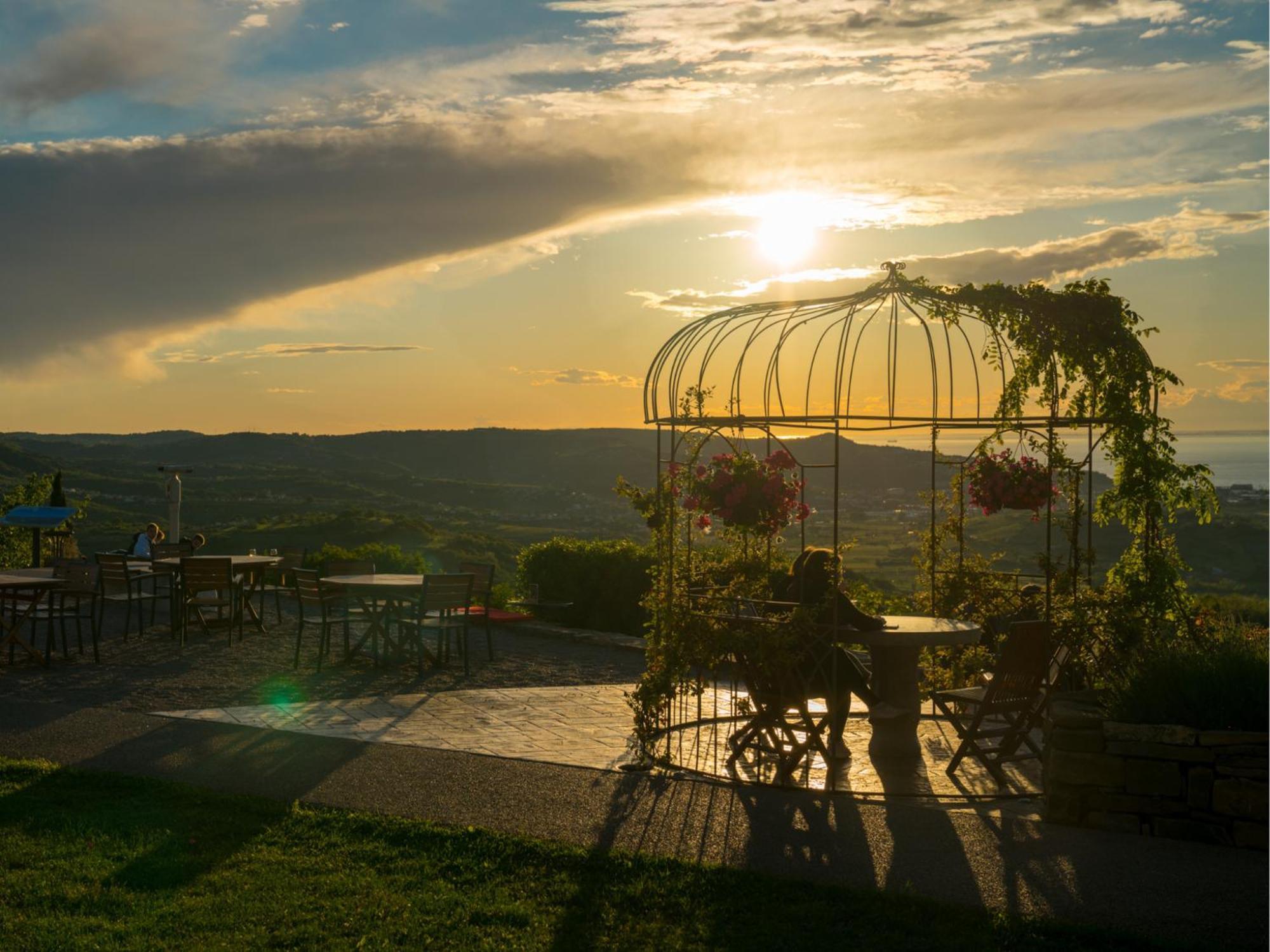 Wine Paradise - Glamping Resort Марезиге Экстерьер фото